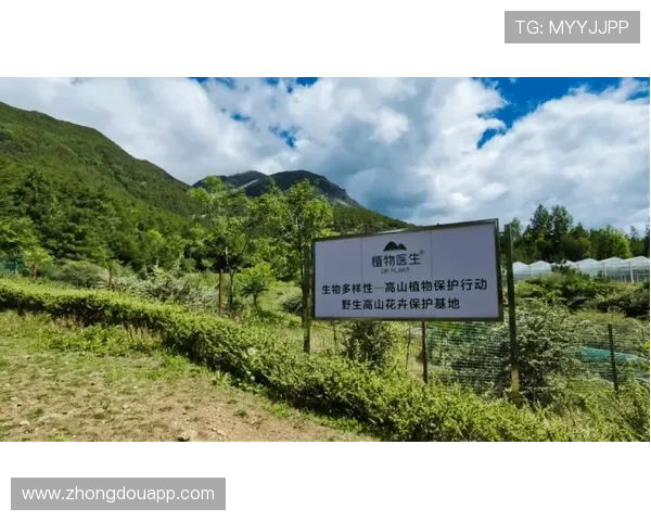 以体育可持续性为核心推动绿色发展与全民健康新路径研究探索实践